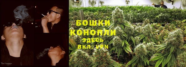 ешки Нефтекумск