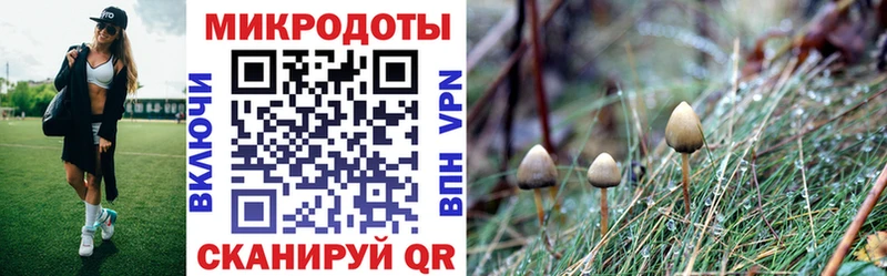 Псилоцибиновые грибы мицелий  хочу   Новокузнецк 